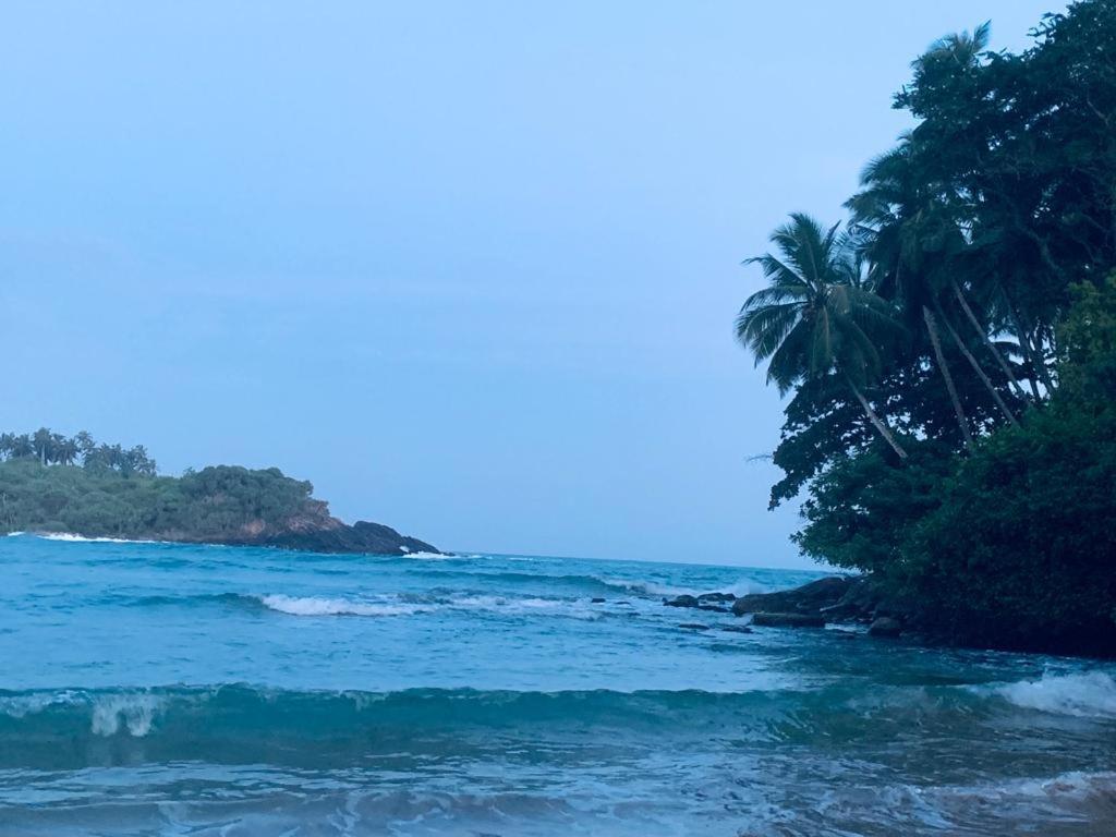 Surf Villa Hiriketiya Matara Exterior foto
